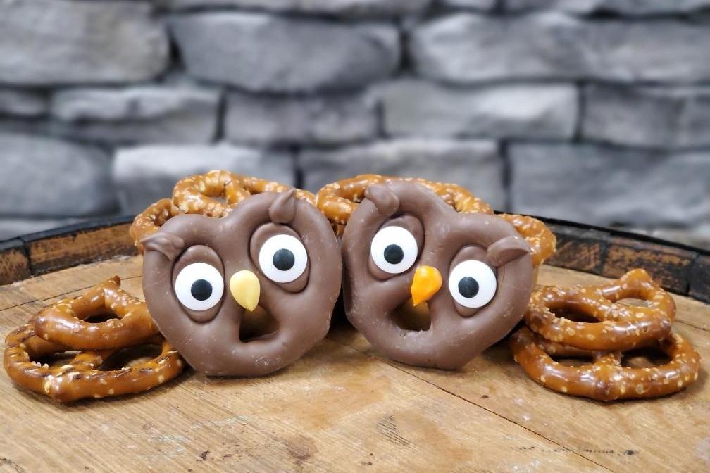 Chocolate Owl Pretzel